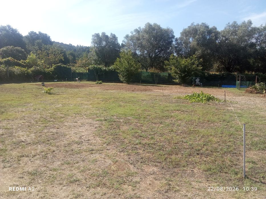 Terreno aluguer Fontoura
