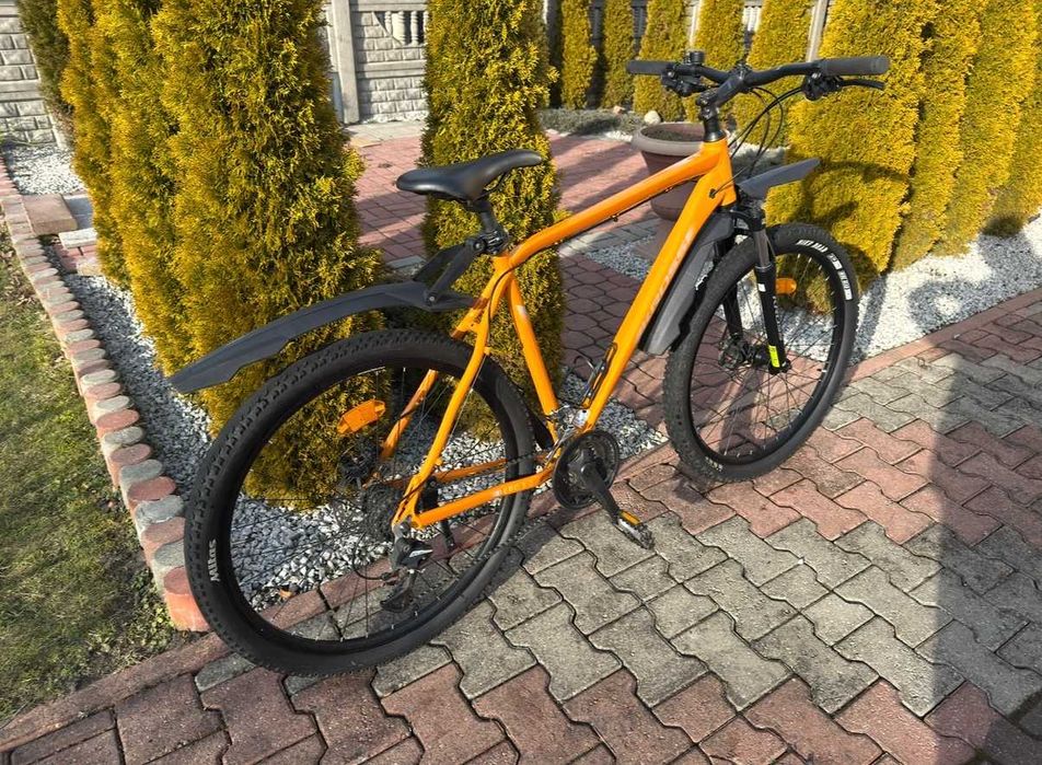 rower Kross Berg 3.0