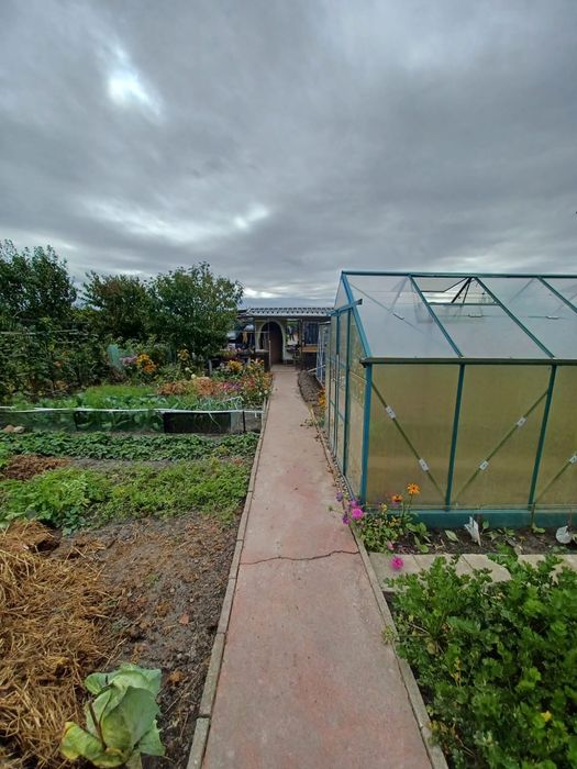 Działka ROD,Ogrodowa z prądem