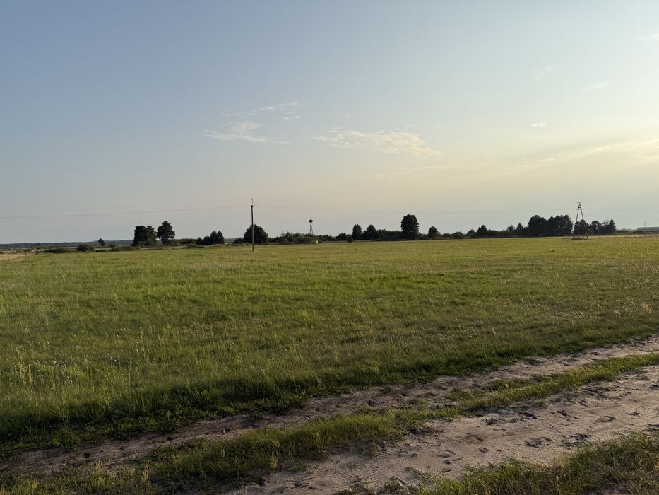 Zdjęcie 6