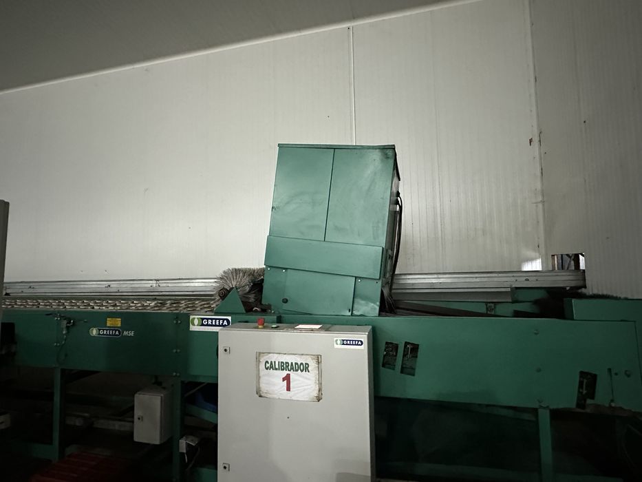 Calibrador  macas greefa