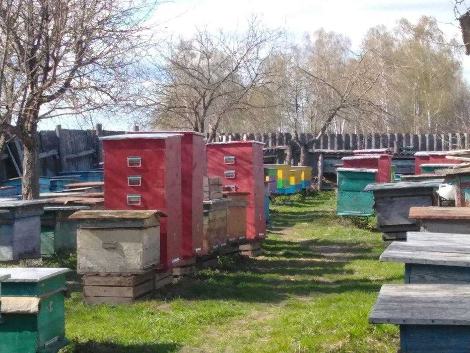 МАЗЬ ВОСКОВА (чудо-мазь) !!!