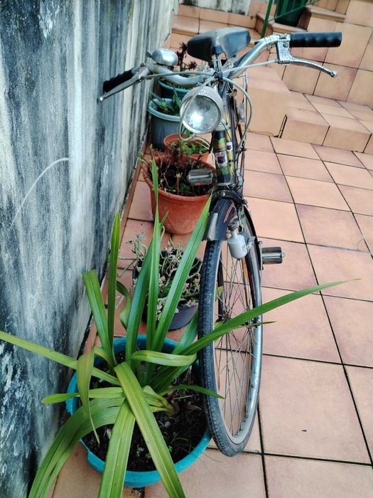 bicicleta pasteleira