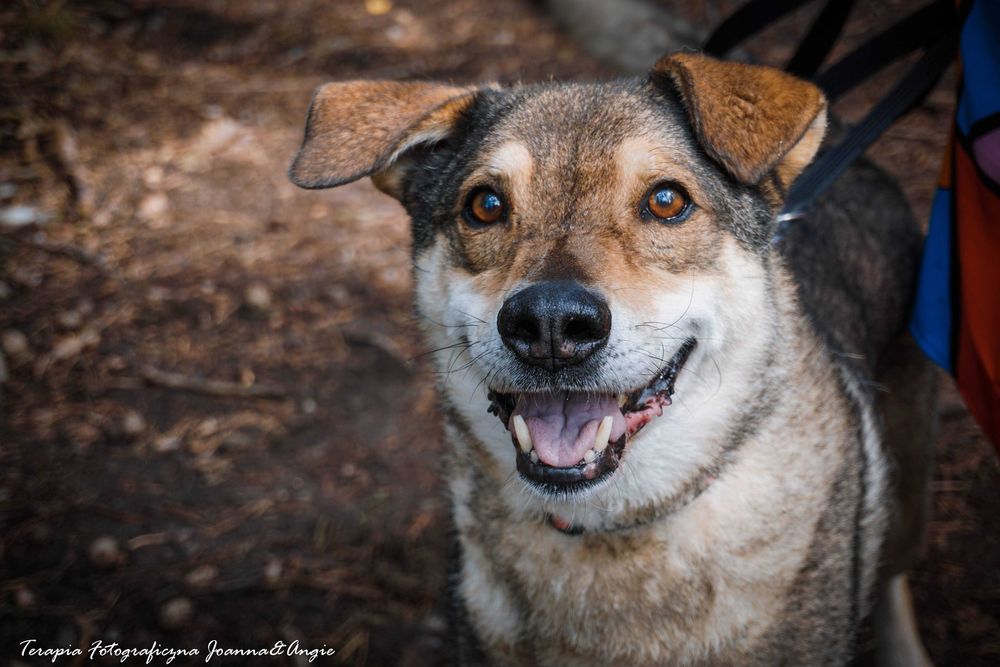 Ludwik - czy ktoś spojrzy na niego naszymi oczami?