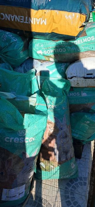 Estrume de coelhos aos sacos