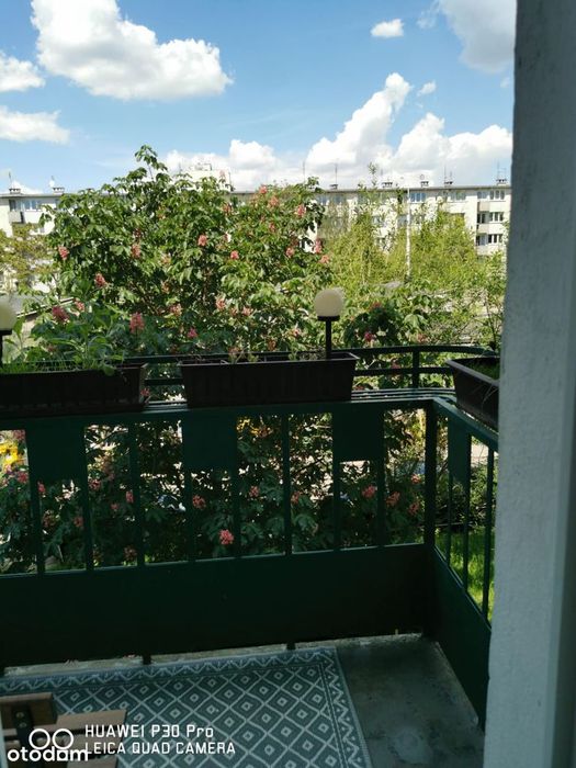 Mieszkanie w kamienicy z balkonem w Wrocławiu - Widok 4