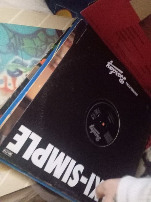 Lote de discos vinil