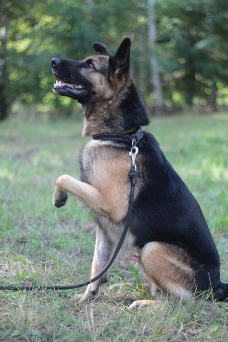 Maxym tak długo czeka, prosimy o dom