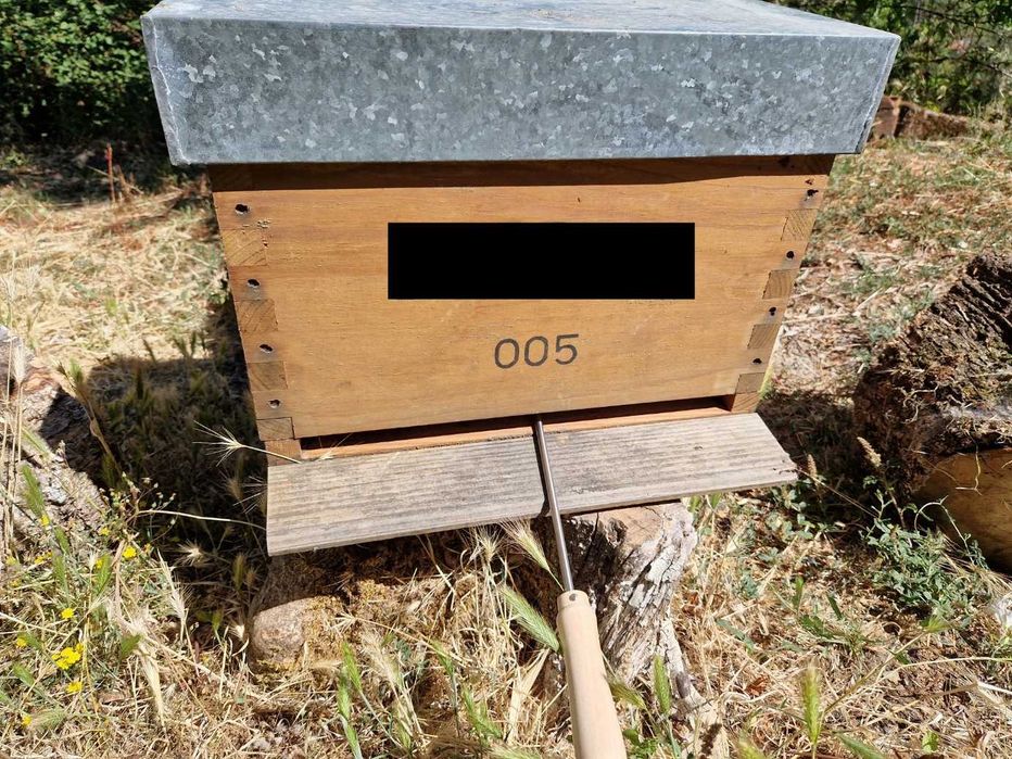 Sublimador de Ácido Oxálico para Tratamento de Varroa a bateria