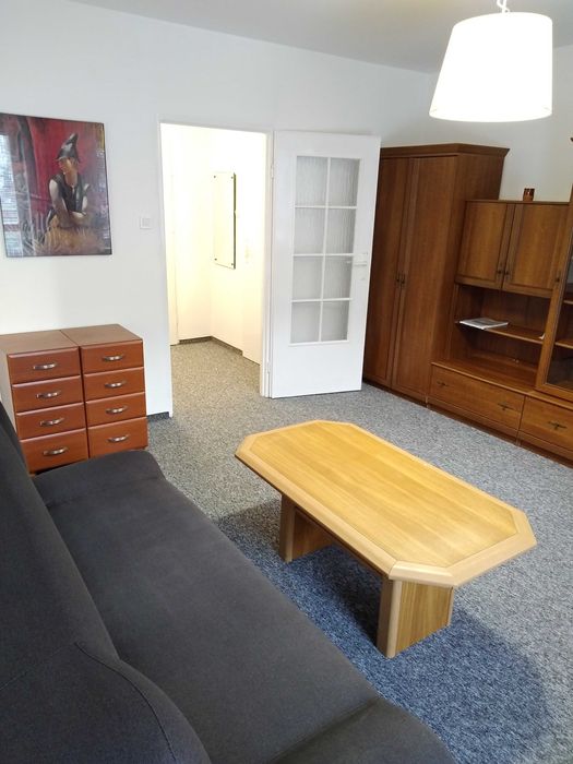 Mieszkanie 1 pokojowe do wynajęcia bezpośrednio - Widok 5