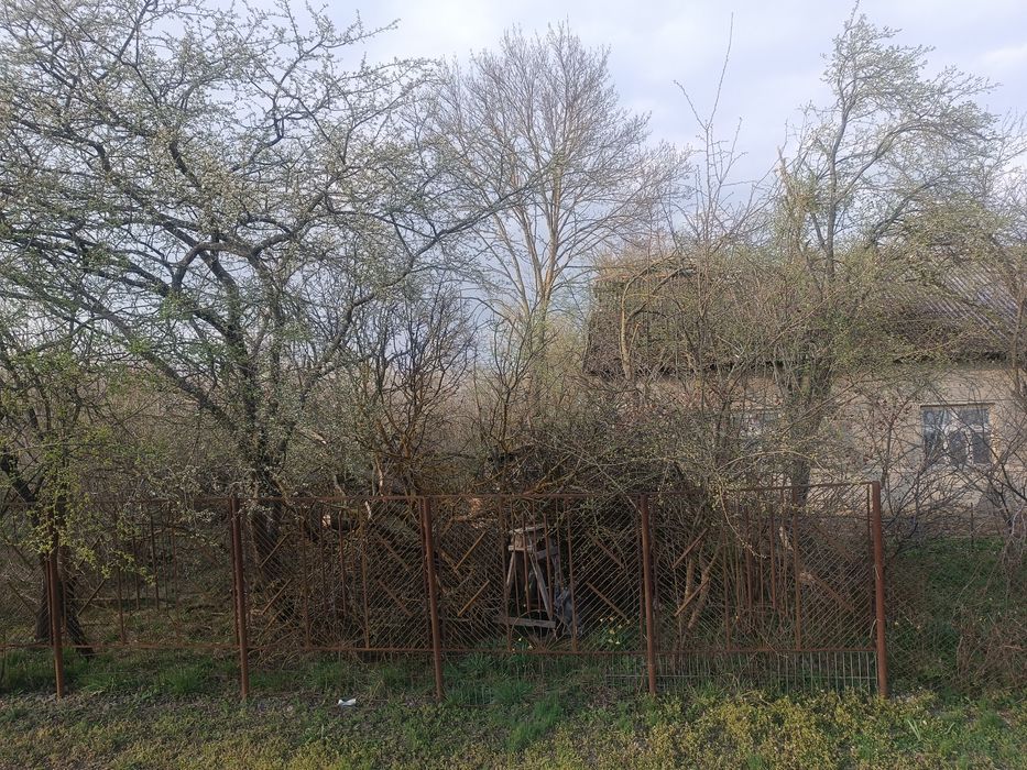 Обрізання та зрізання дерев