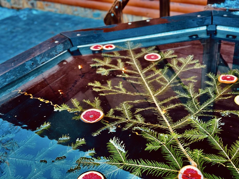 Відпочинок у Карпатах котеджі біля річки та лісу