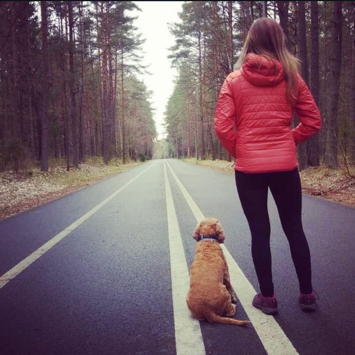 Trener psów / behawiorysta | indywidualne spotkania | Zamość i okolice