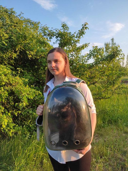 Рюкзак-переноска прозрачный для кота, кошки, собаки