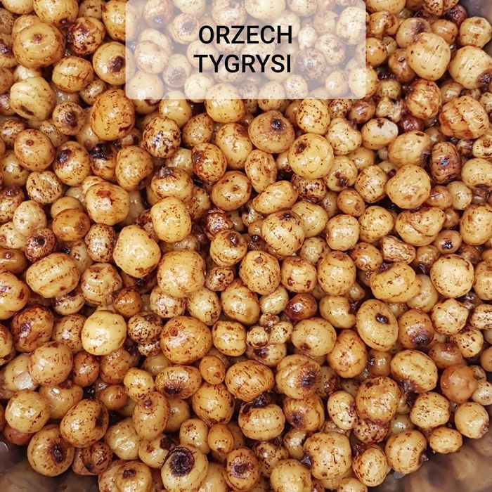 ORZECH TYGRYSI gotowany fermentowany 1 kg
