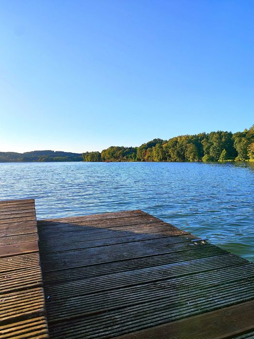 Nowoczesny domek na wynajem nad jeziorem z sauną i balią/jacuzzi; (pet friendly)