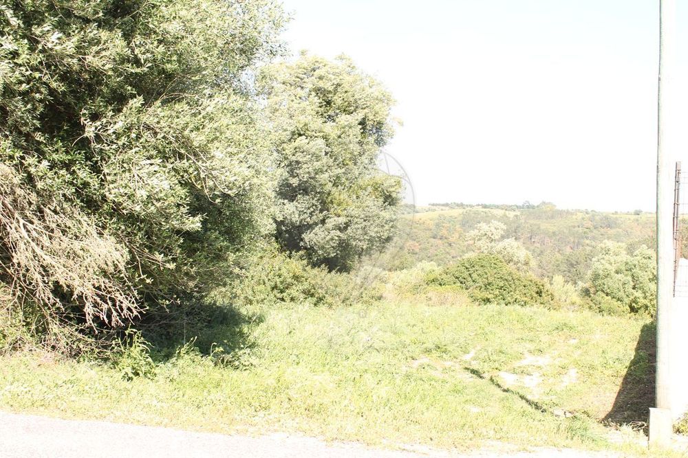 Terreno  para venda