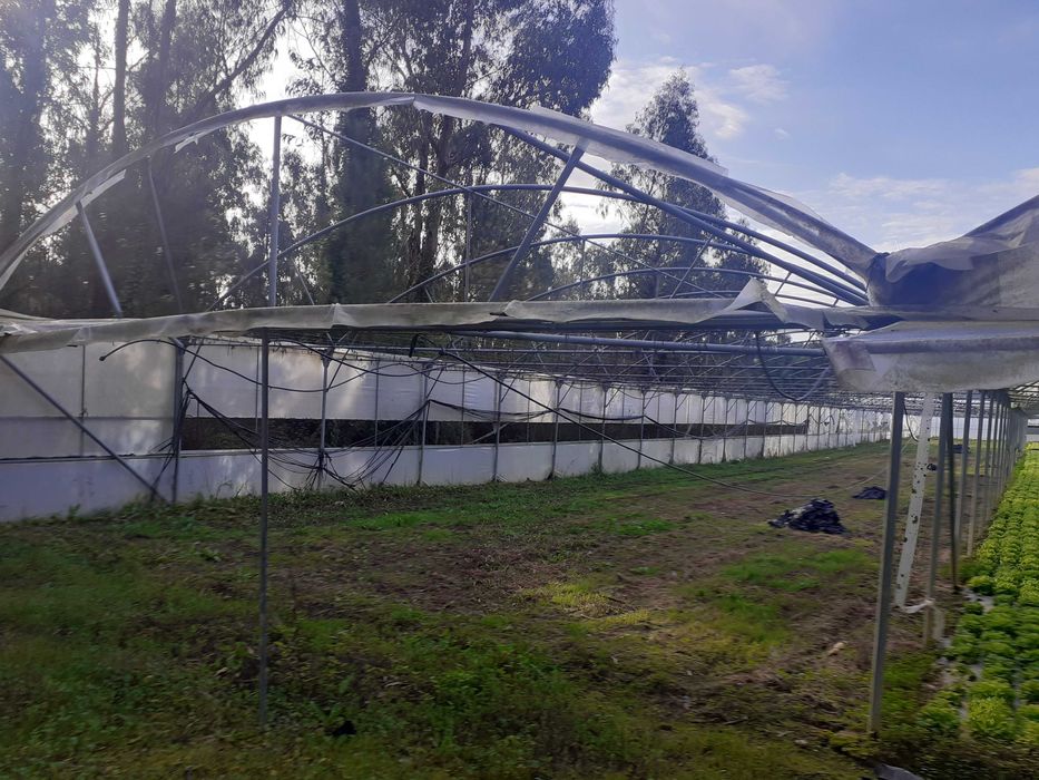 Estrutura de estufas + rega de micro aspersão