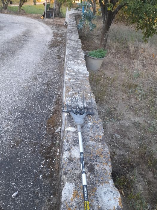 Varejador de azeitona