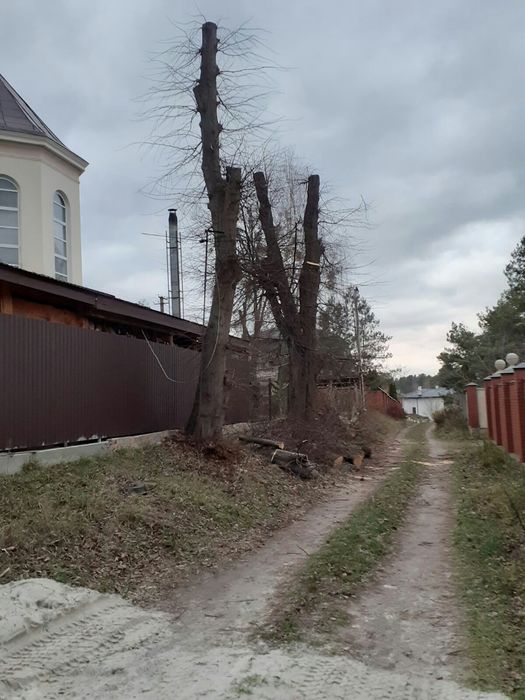 Обрізка зрізання дерев,коронування плодовитих дерев,корчування пнів.