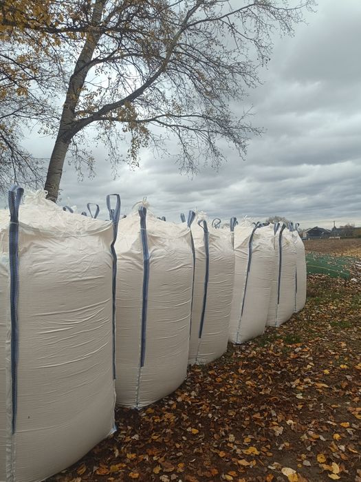 Kukurydza CCM mielona