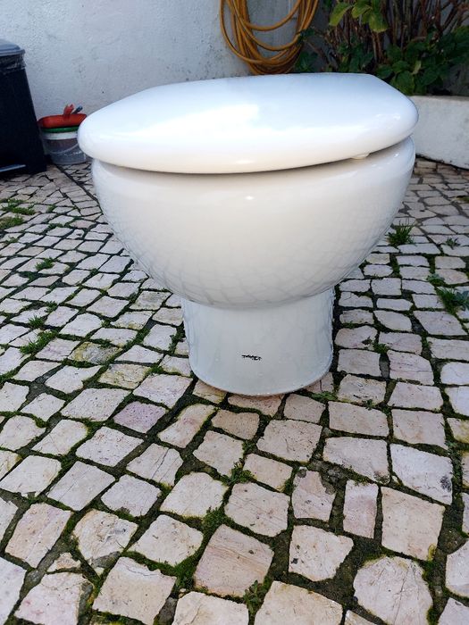 Sanita Roca meridien retro