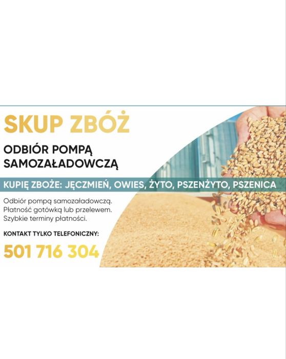 Skup zbóż- żyto pszenżyto owies pszenica- odbiór pompą samozaładowczą