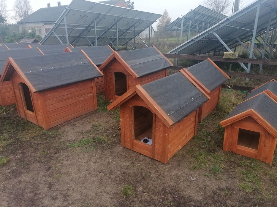 Buda dla małego psa lub kota