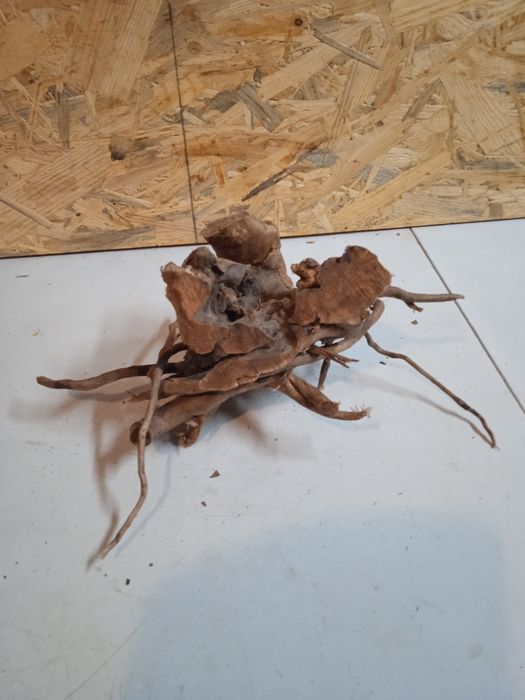 Korzeń do akwarium Red Moore Wood nr 69 o wymiarach 25/20/15