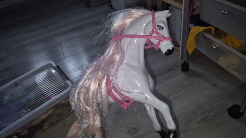 Konik dla dziewczynki