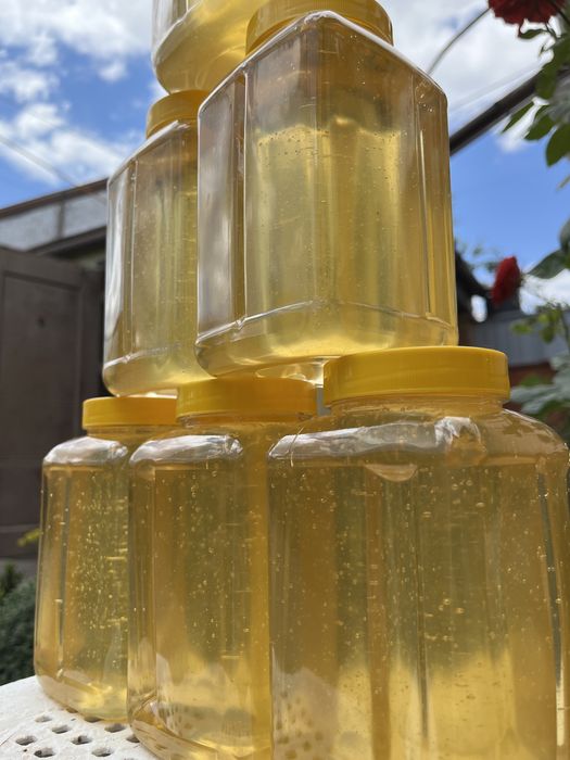 Мед з білої акації/соняшниковий/гречаний 2022 рік