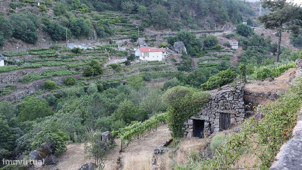 Terreno  para venda