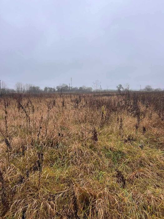 Продам земельну ділянку під забудову в с.Некрасове 7218