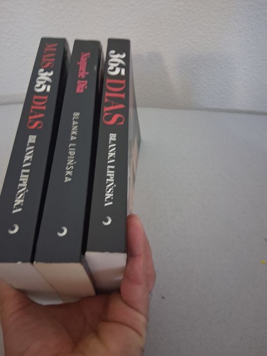 365 dias - saga livros