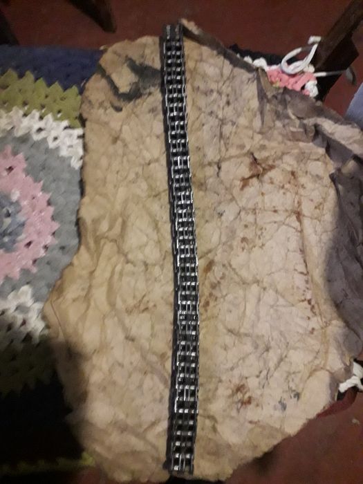 Цепь моторная,приводная.