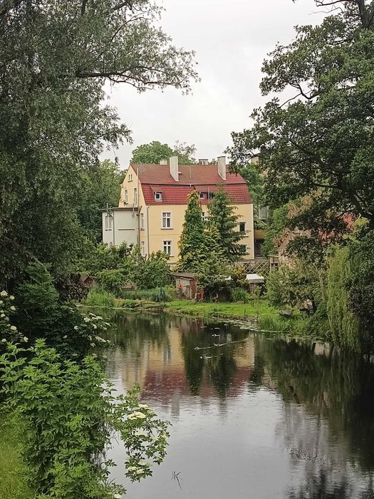 Mieszkanie w Trzebiatowie