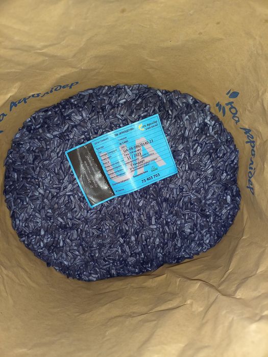 Насіння соняшника НСХ 8005 під гранстар 50г