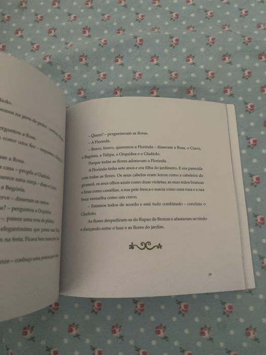 Livro O rapaz de bronze