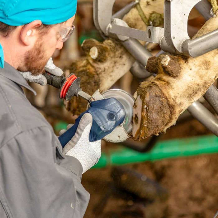 Tarcza do korekcji racic Profi, 6 wymiennych ostrzy, śr. 120 mm