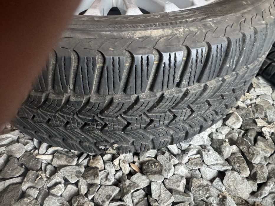 C-max/mondeo/focus/fiesta/ opony frigo hp2 dot23 215/55/r16