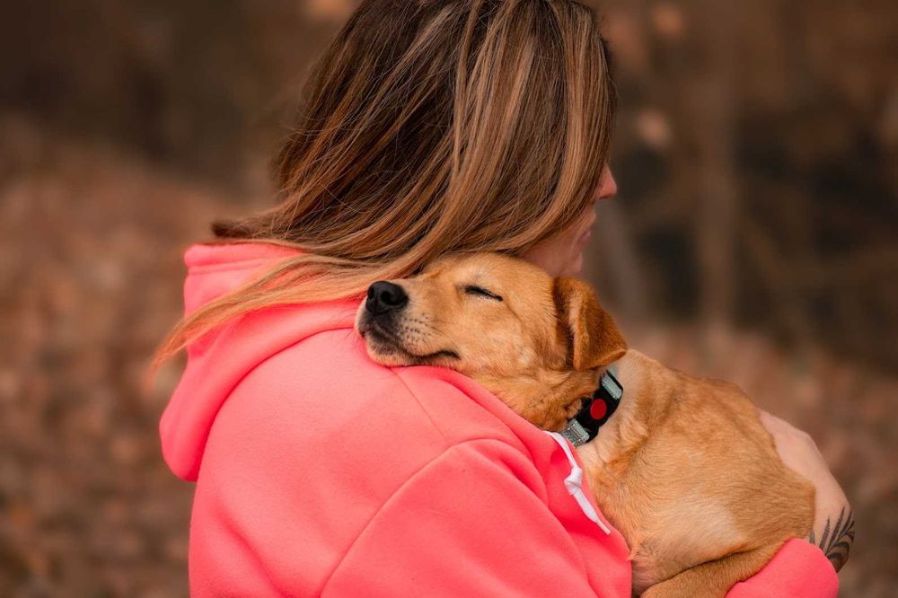 LOTTA - roczna, mała, łagodna. [FILMIKI]