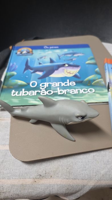 Livros com figuras