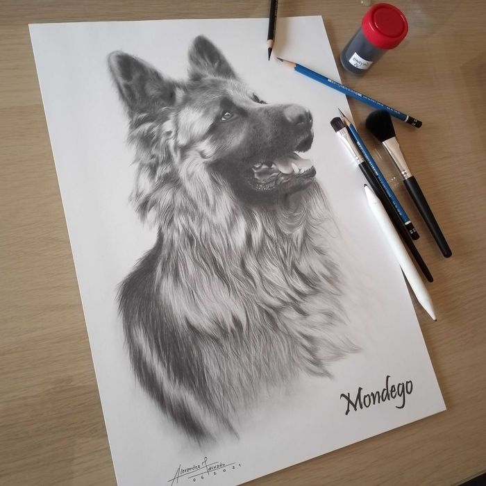 Desenho Retrato de animais grafite e carvão
