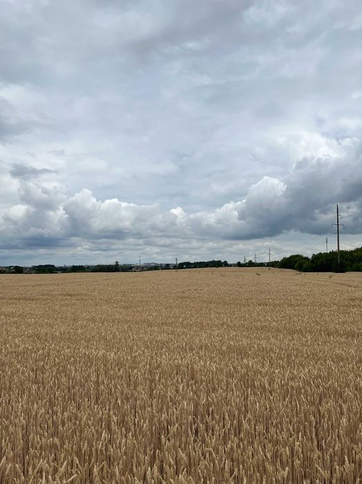 Продаж ділянки під комерцію в Здолбунові