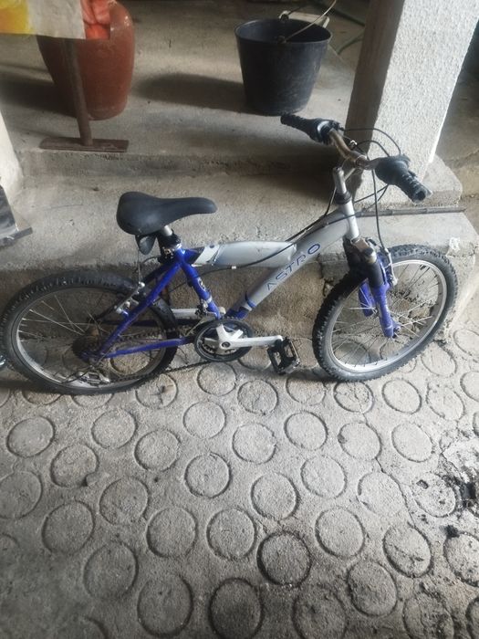 Várias bicicletas
