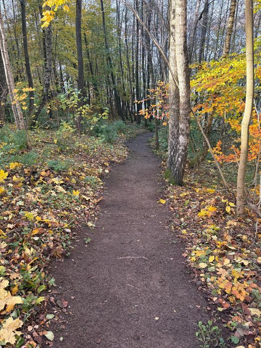 Dom w Jabłonkach,kominek,bez turystów,PsioLubny,Kaszuby,Sznurki Jakuzi