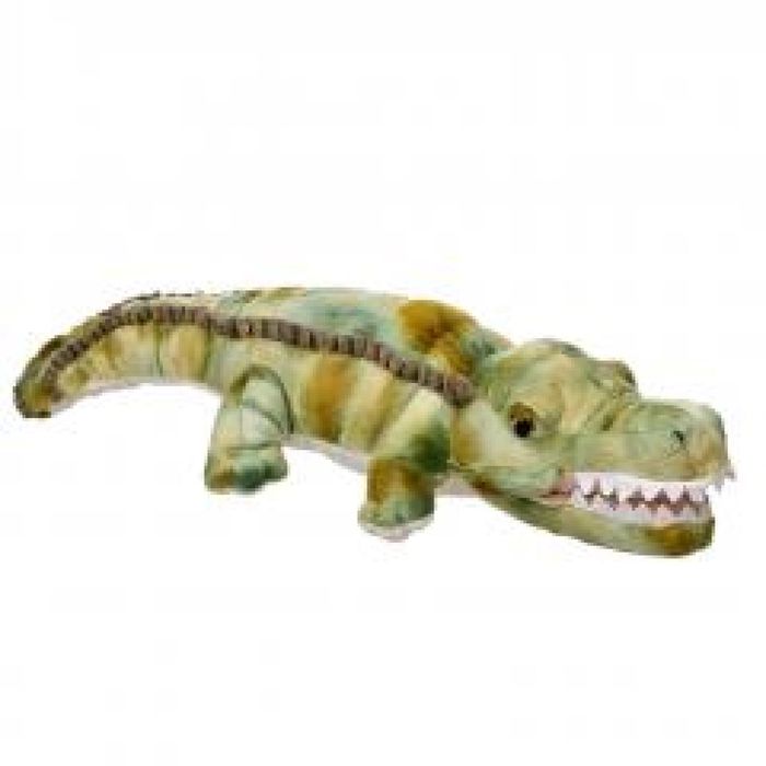Krokodyl 61cm ,553x220 mm