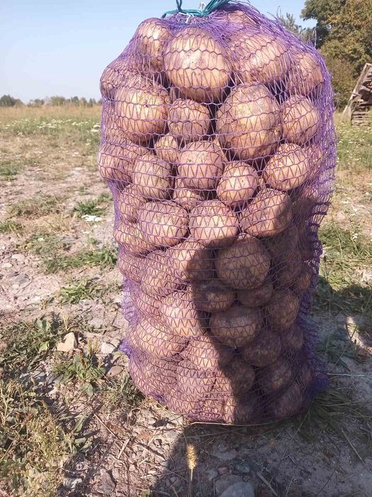 Картопля домашня доставка