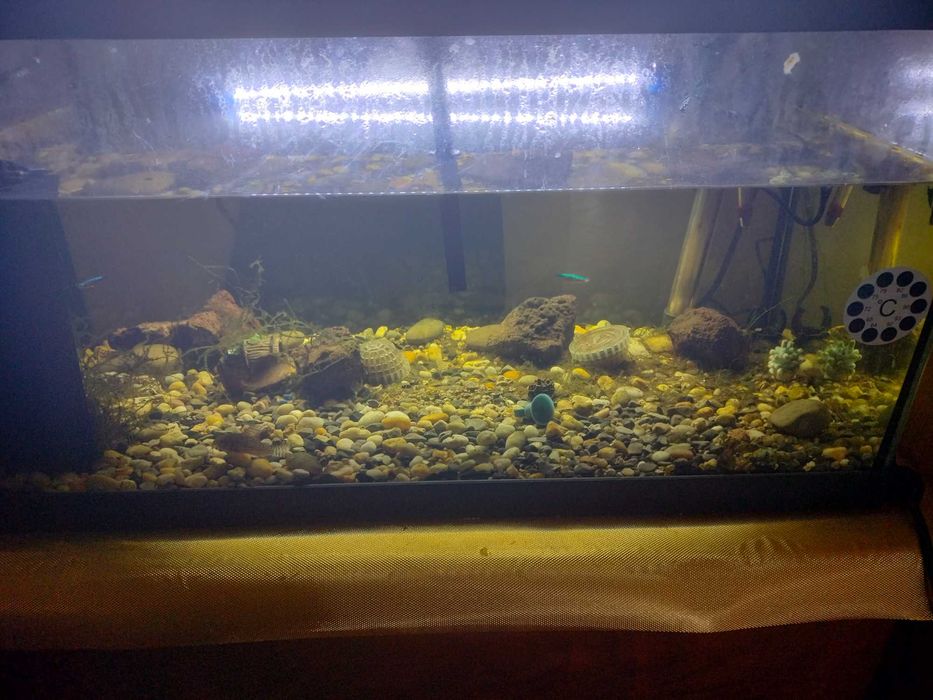 Aquário de peixes