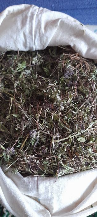 продам ісландський мох ; чебрець \  від кашлю\